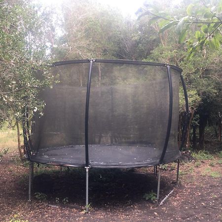 Cabanas Ensenada Bosque Nativo Exteriér fotografie