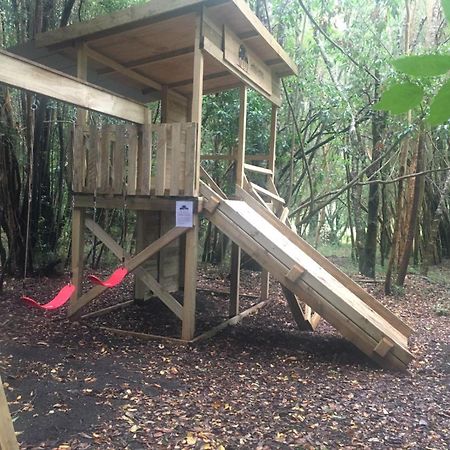 Cabanas Ensenada Bosque Nativo Exteriér fotografie