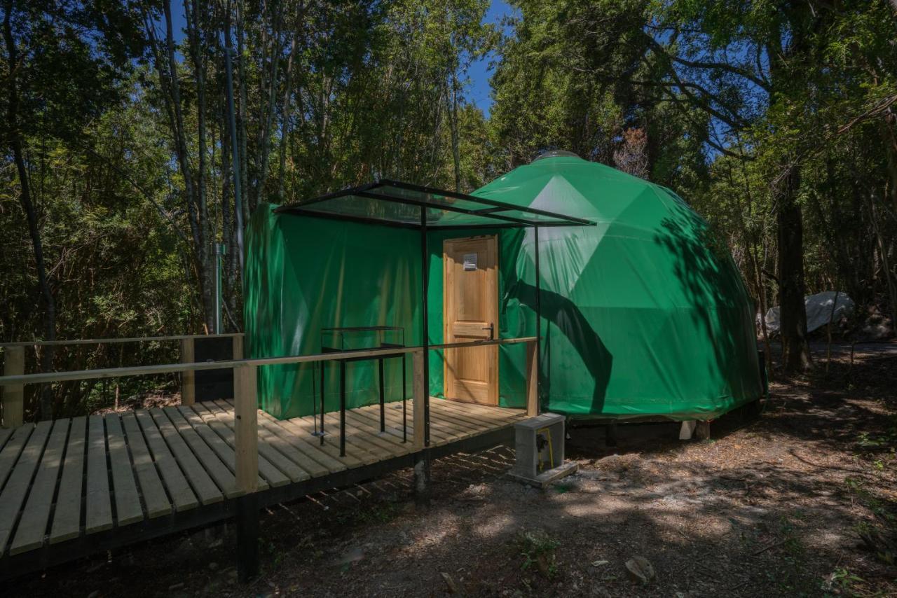 Cabanas Ensenada Bosque Nativo Exteriér fotografie