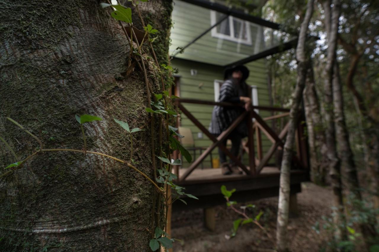 Cabanas Ensenada Bosque Nativo Exteriér fotografie