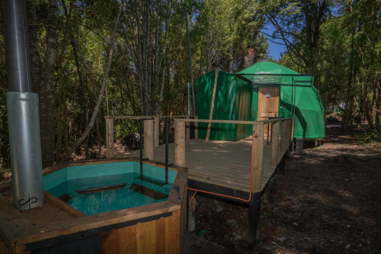 Cabanas Ensenada Bosque Nativo Exteriér fotografie