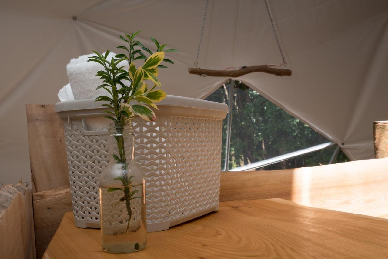 Cabanas Ensenada Bosque Nativo Exteriér fotografie