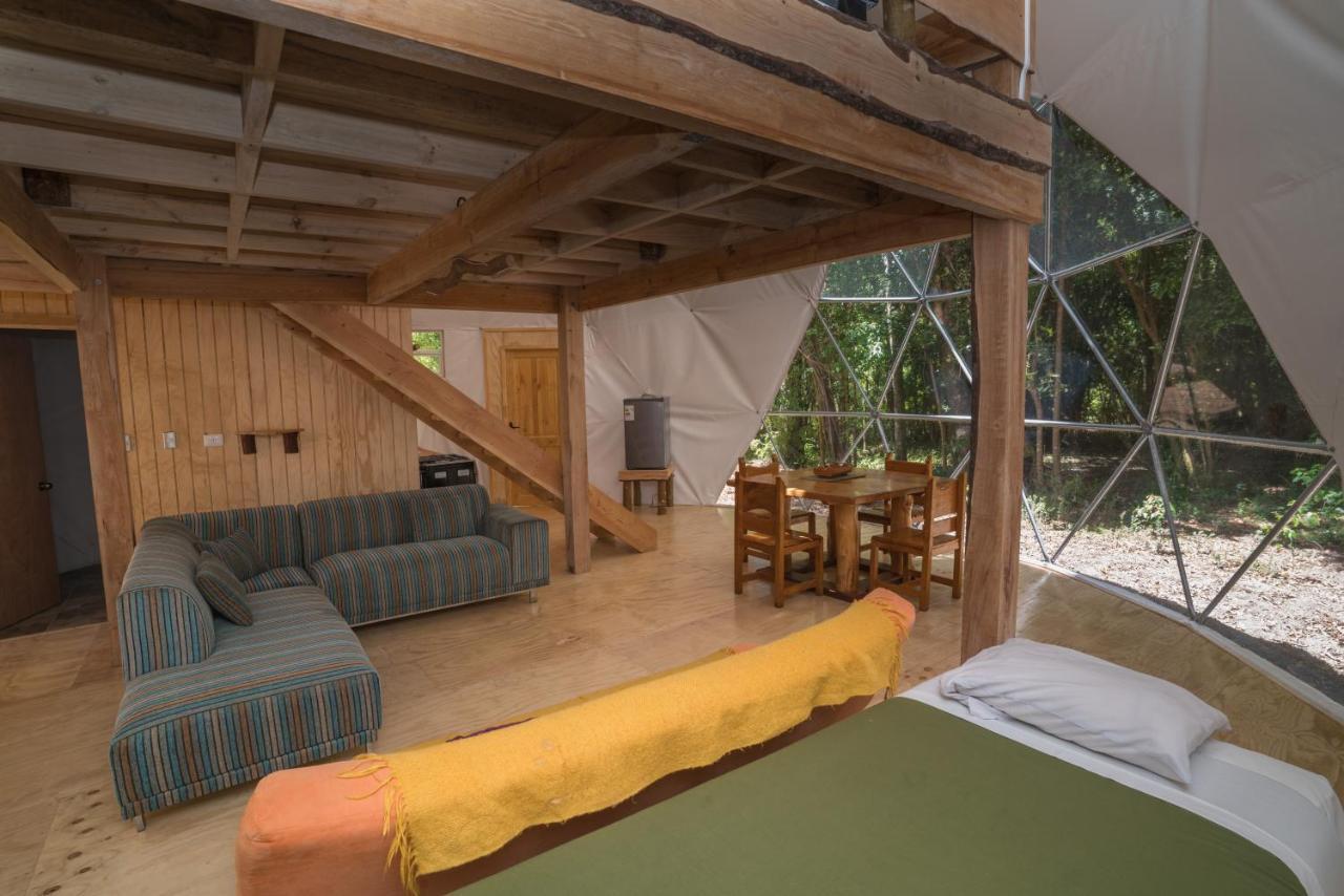 Cabanas Ensenada Bosque Nativo Exteriér fotografie