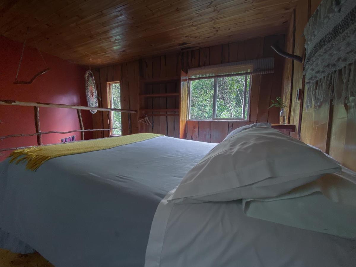 Cabanas Ensenada Bosque Nativo Exteriér fotografie