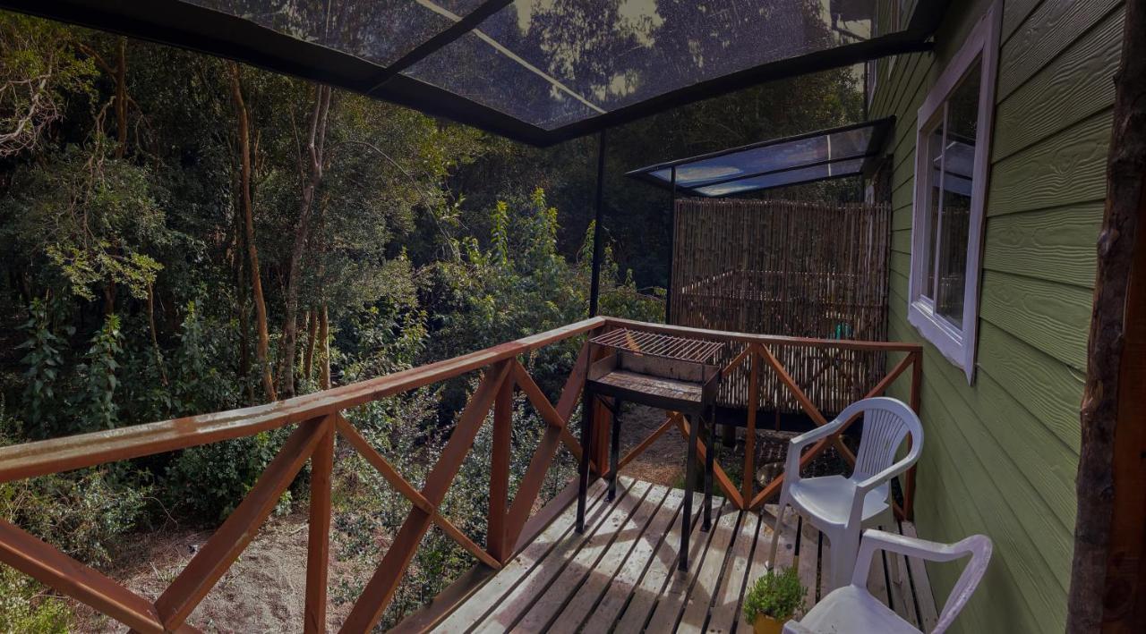 Cabanas Ensenada Bosque Nativo Exteriér fotografie
