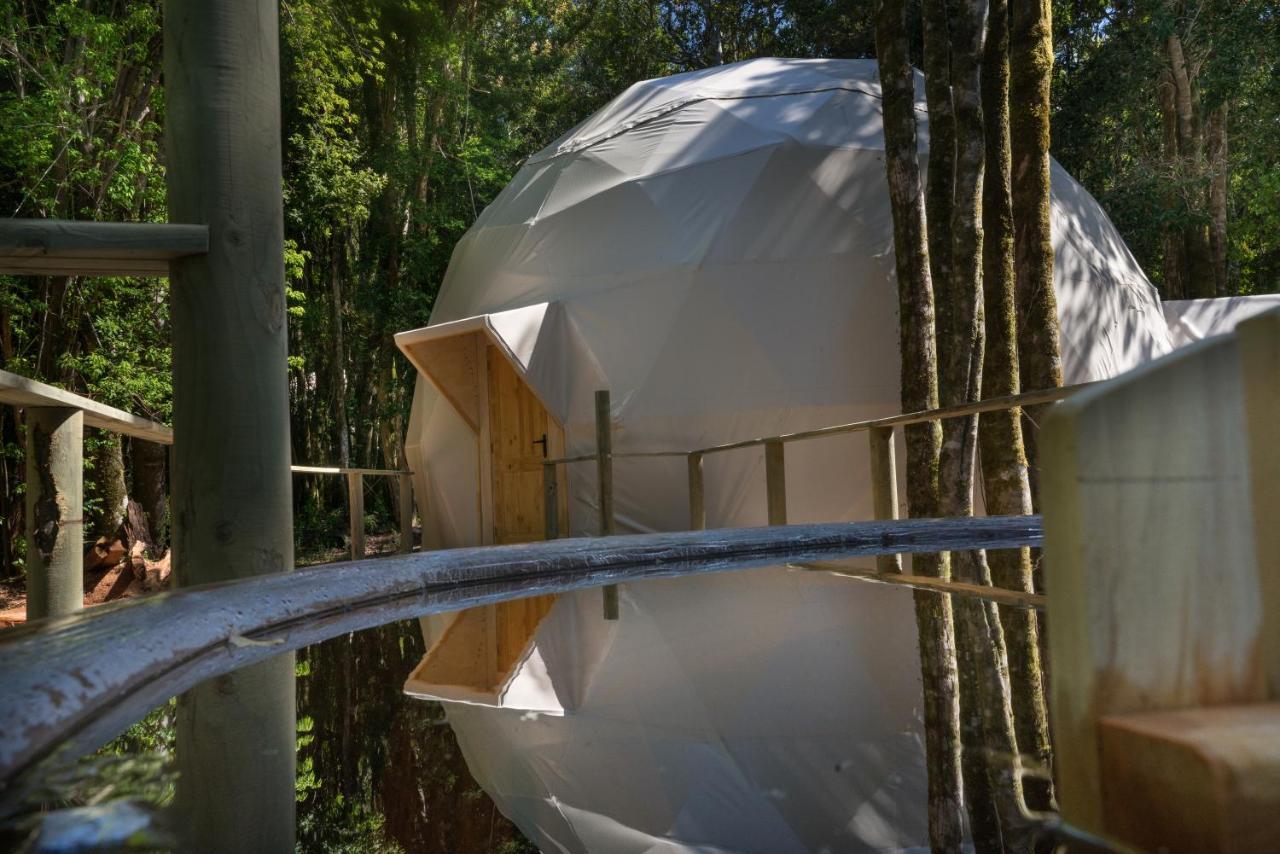 Cabanas Ensenada Bosque Nativo Exteriér fotografie