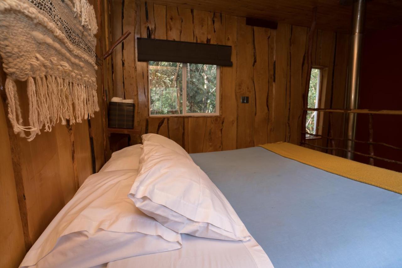 Cabanas Ensenada Bosque Nativo Exteriér fotografie