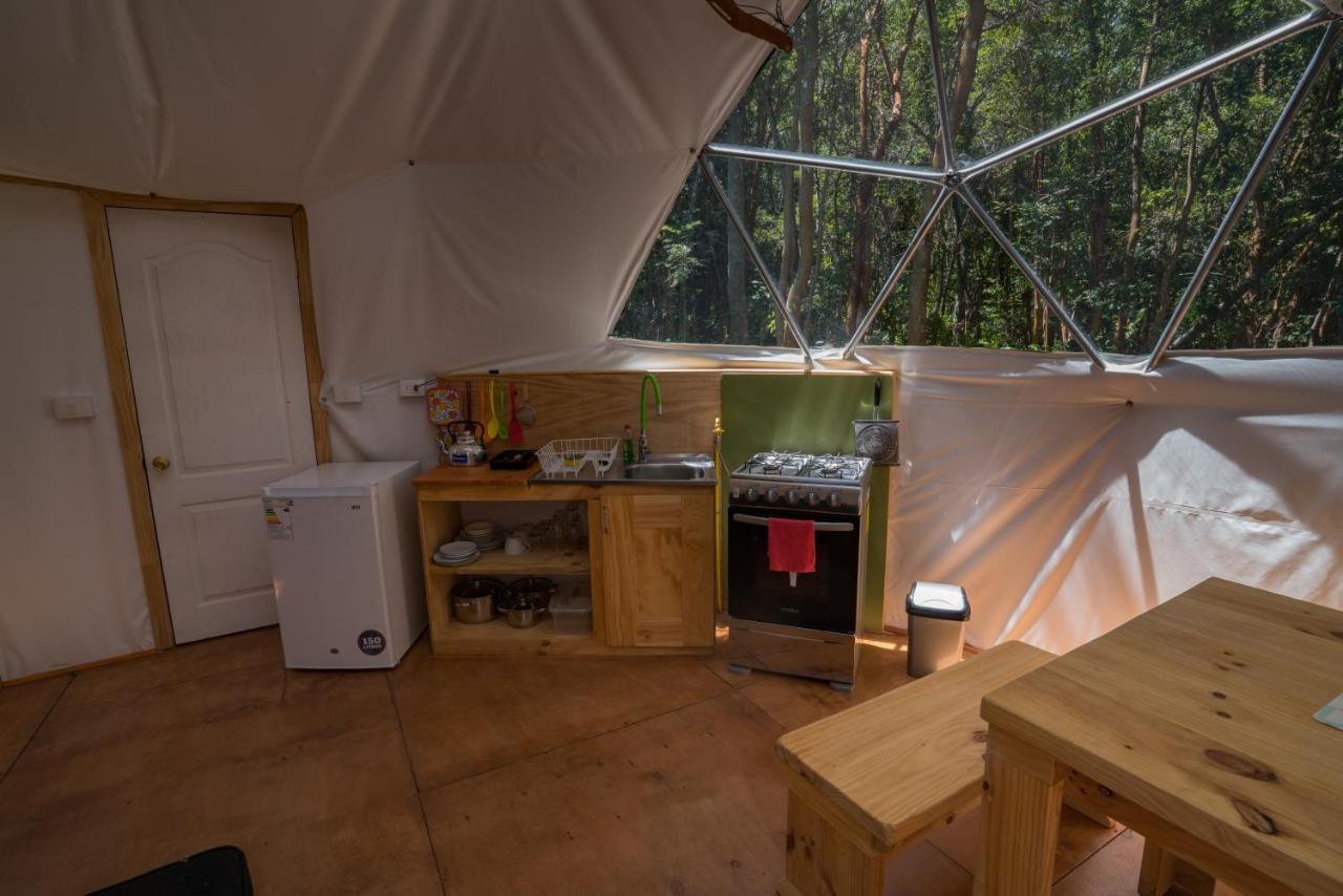 Cabanas Ensenada Bosque Nativo Exteriér fotografie
