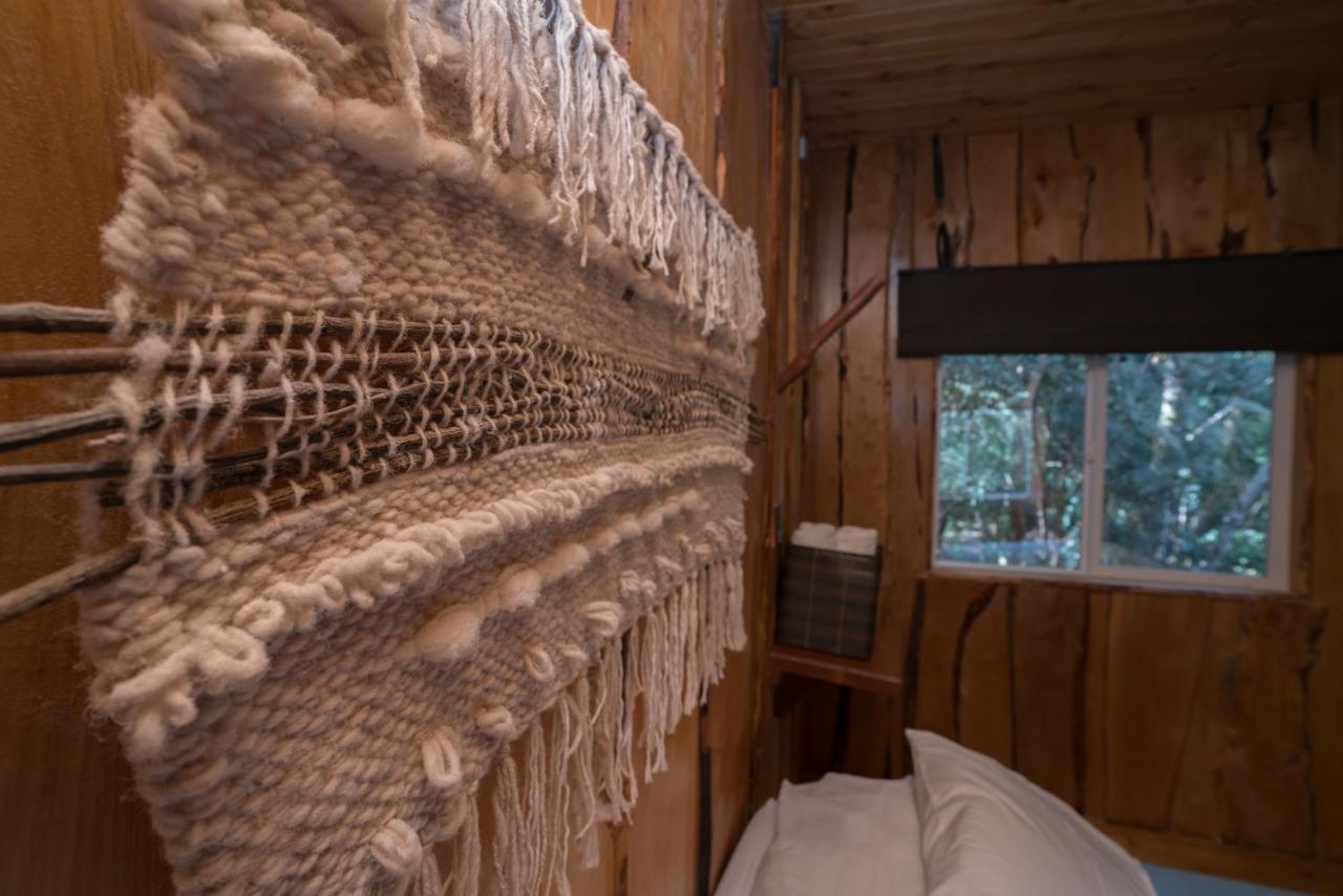 Cabanas Ensenada Bosque Nativo Exteriér fotografie