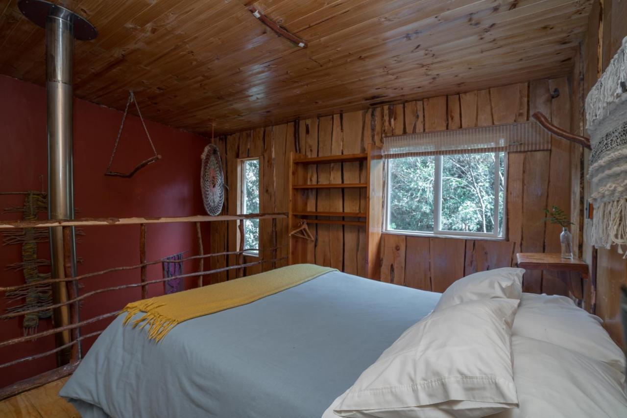 Cabanas Ensenada Bosque Nativo Exteriér fotografie