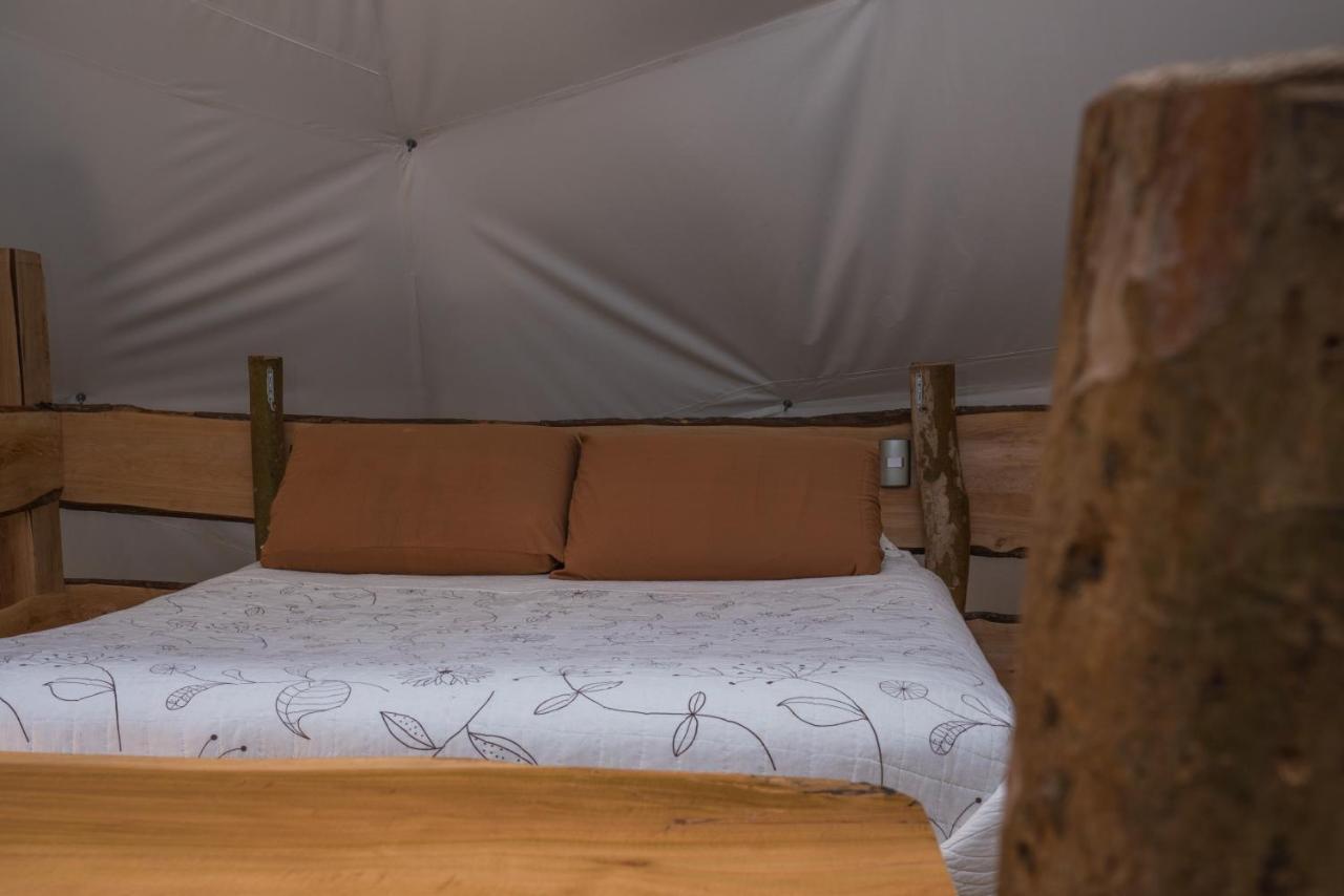 Cabanas Ensenada Bosque Nativo Exteriér fotografie