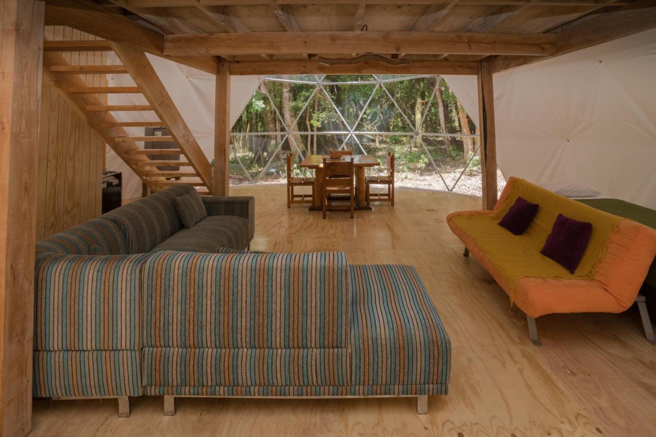 Cabanas Ensenada Bosque Nativo Exteriér fotografie