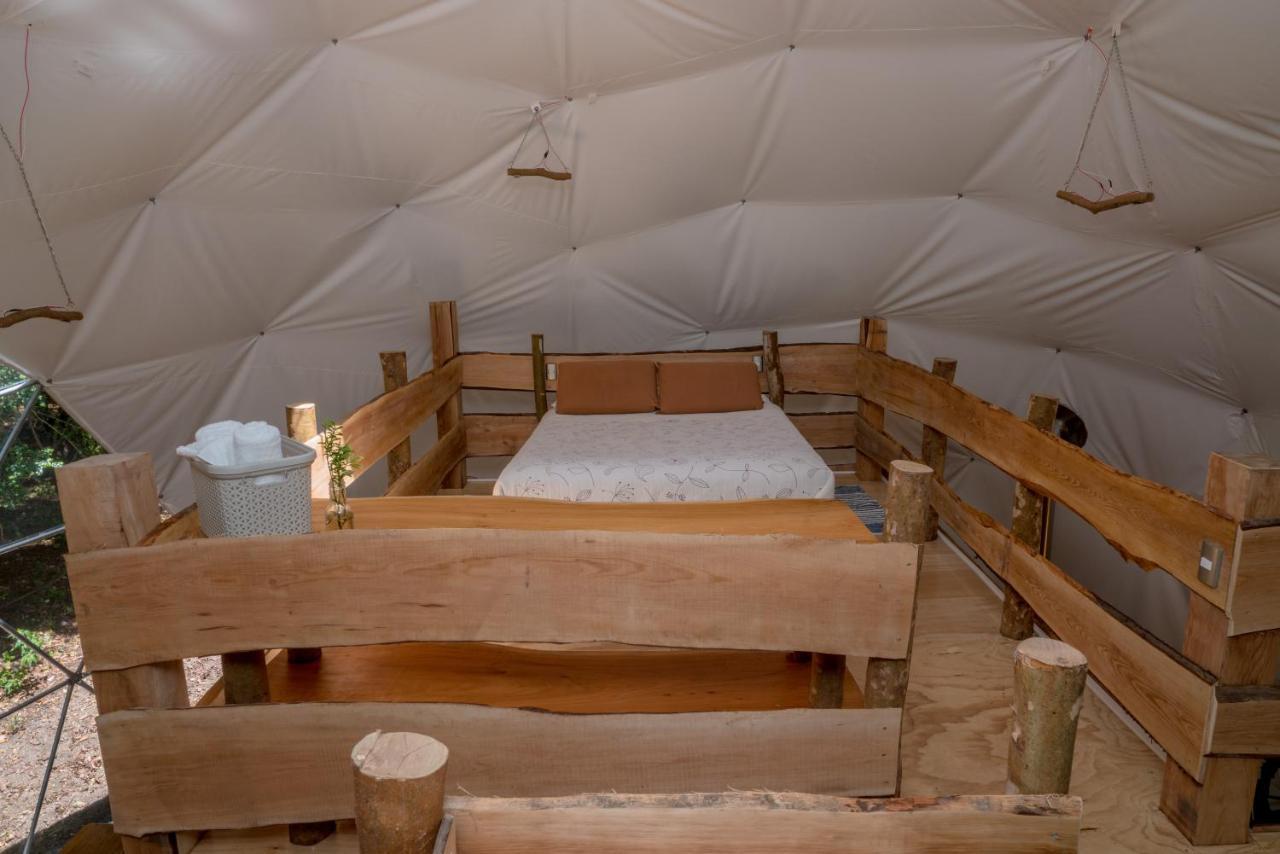Cabanas Ensenada Bosque Nativo Exteriér fotografie
