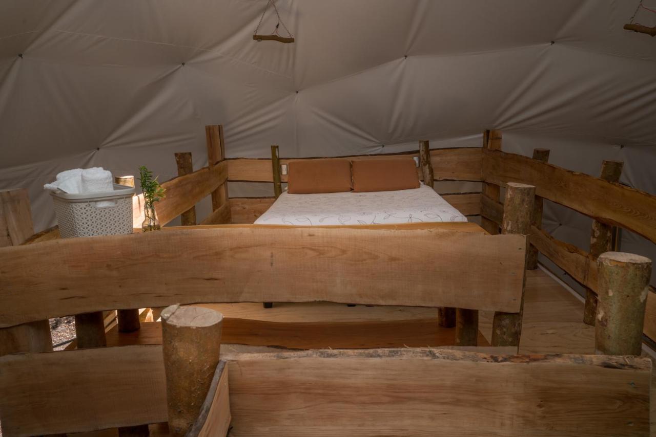 Cabanas Ensenada Bosque Nativo Exteriér fotografie