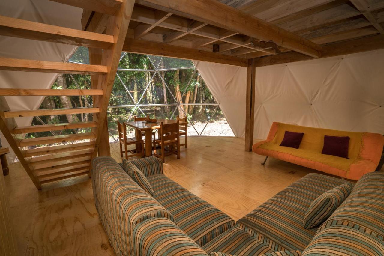 Cabanas Ensenada Bosque Nativo Exteriér fotografie