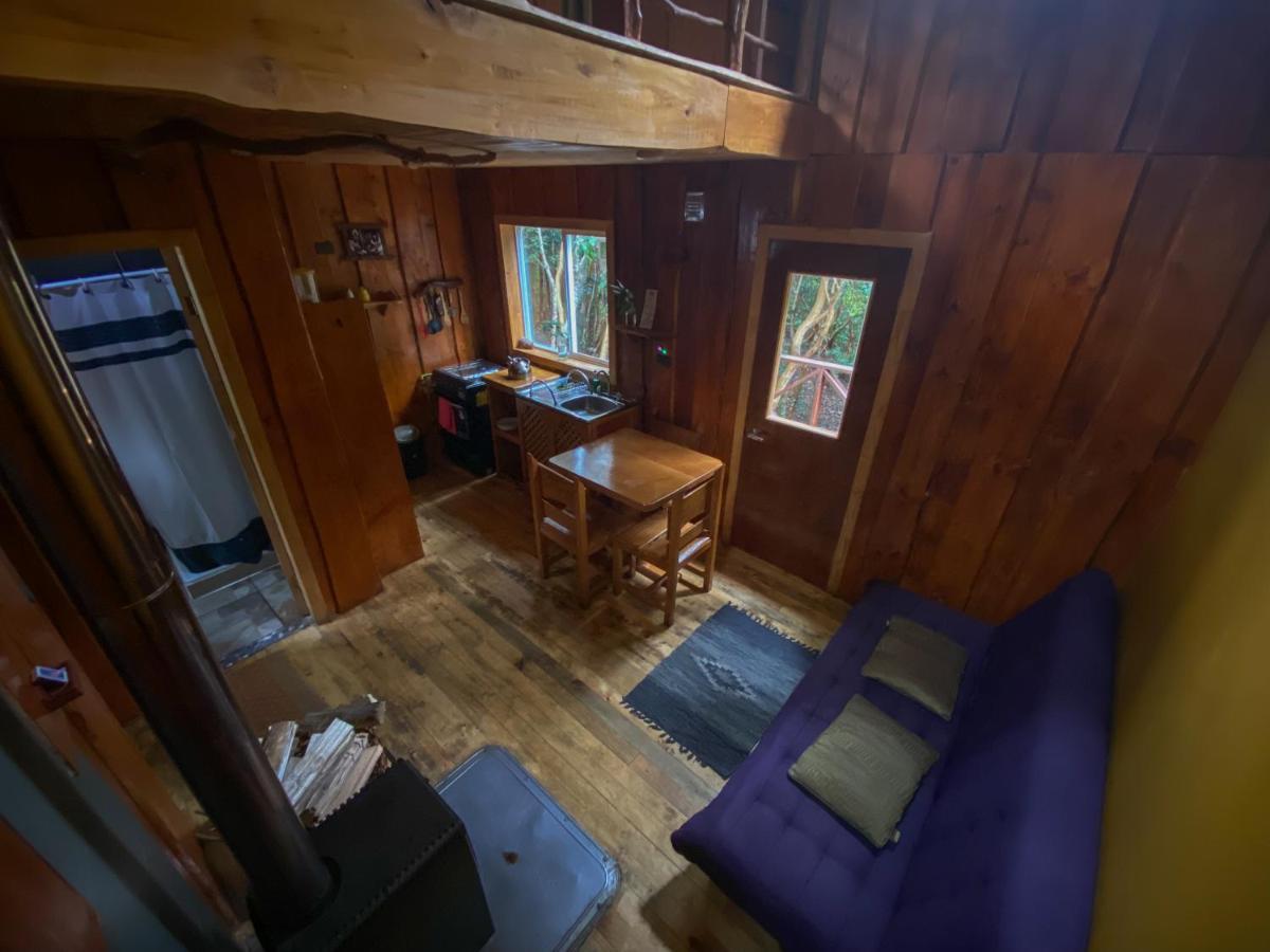 Cabanas Ensenada Bosque Nativo Exteriér fotografie