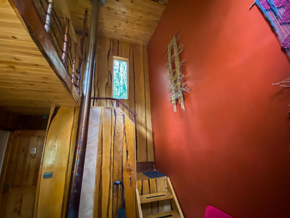 Cabanas Ensenada Bosque Nativo Exteriér fotografie