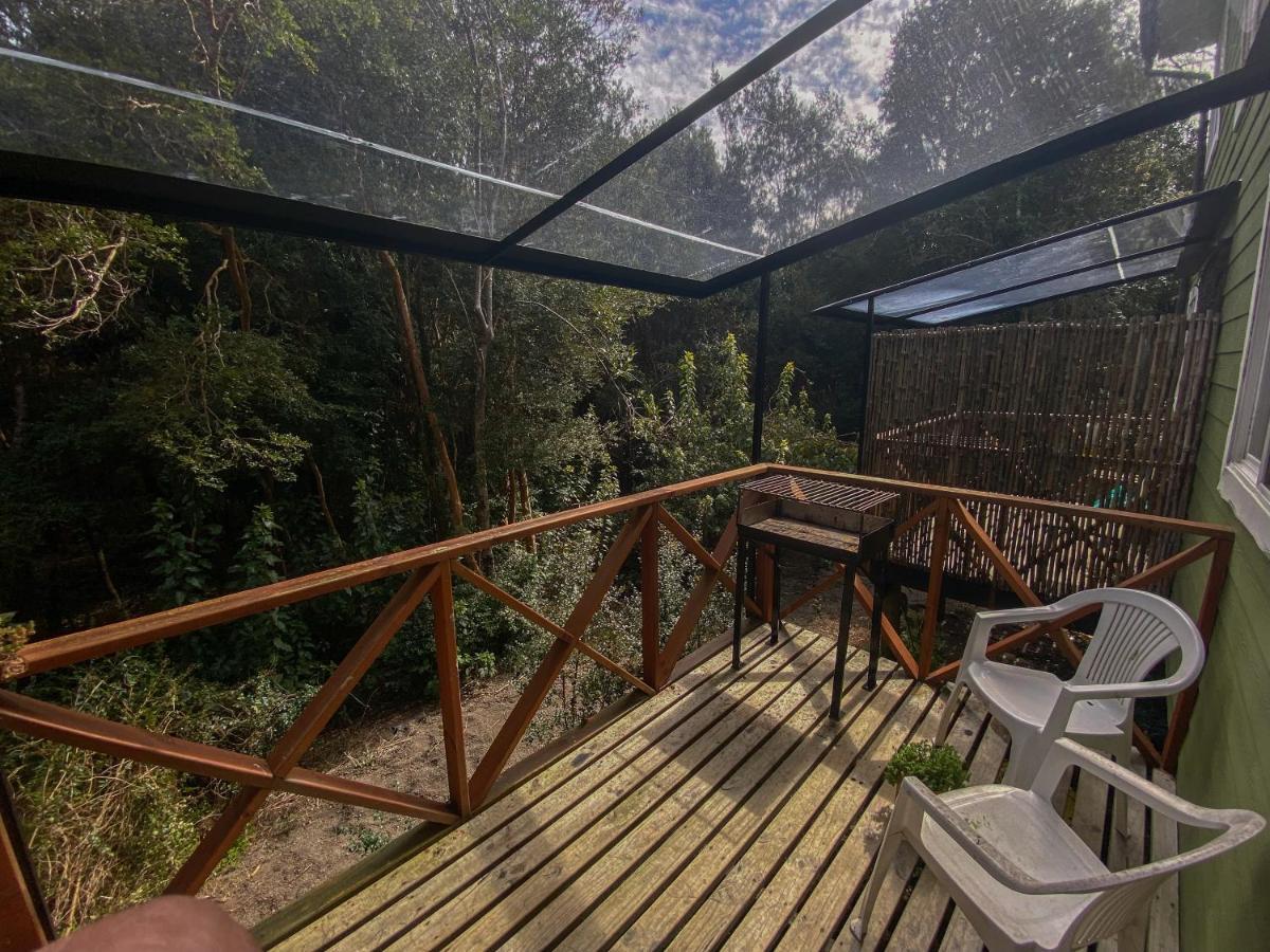 Cabanas Ensenada Bosque Nativo Exteriér fotografie