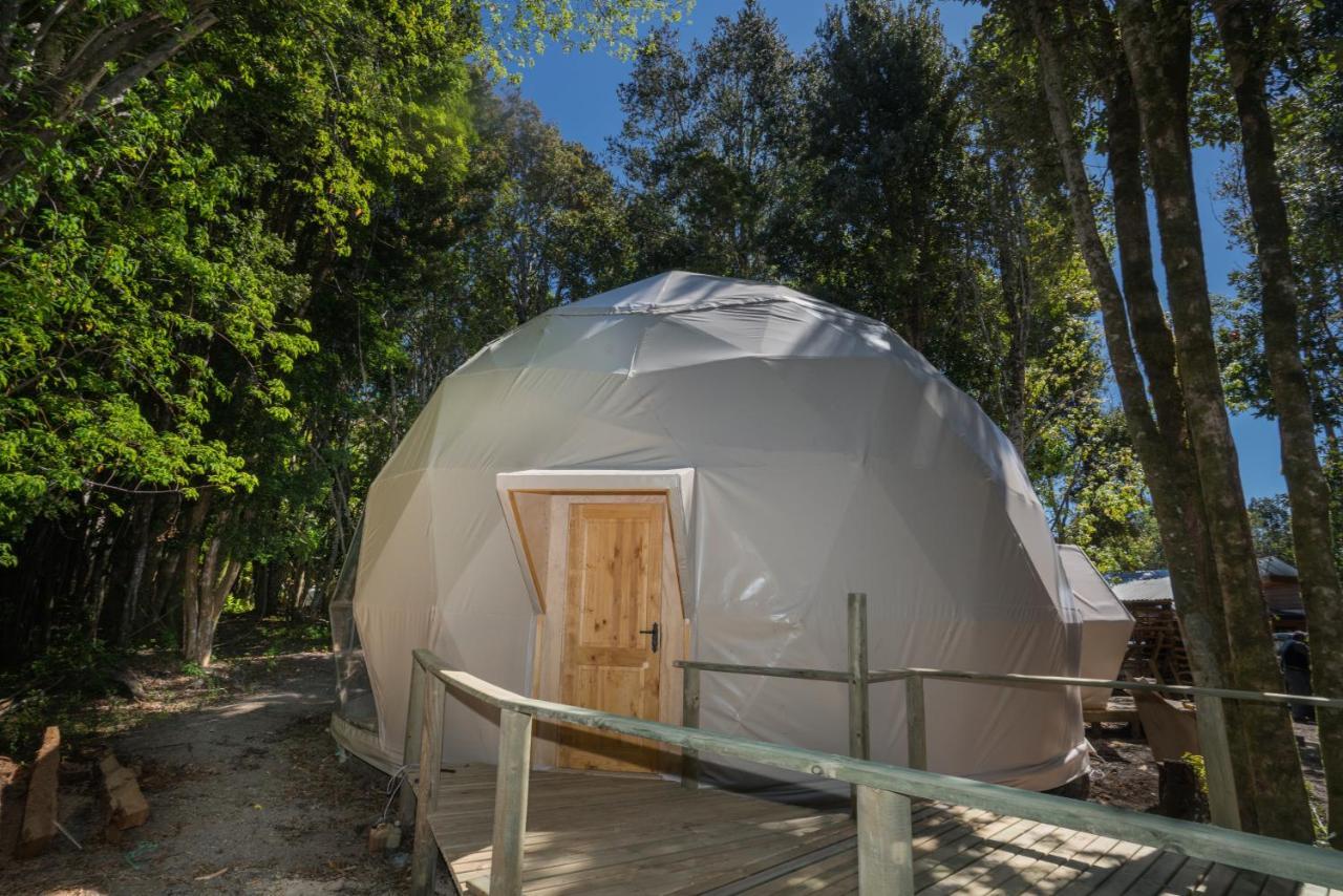 Cabanas Ensenada Bosque Nativo Exteriér fotografie