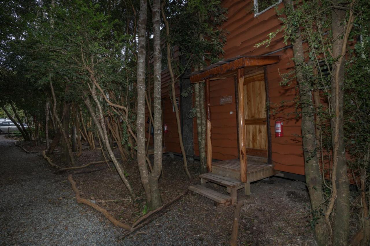 Cabanas Ensenada Bosque Nativo Exteriér fotografie