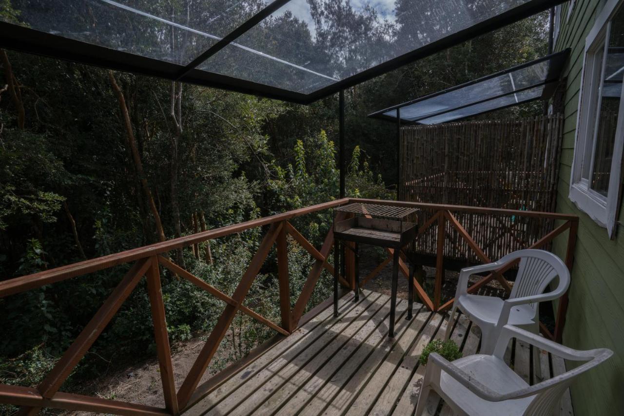Cabanas Ensenada Bosque Nativo Exteriér fotografie