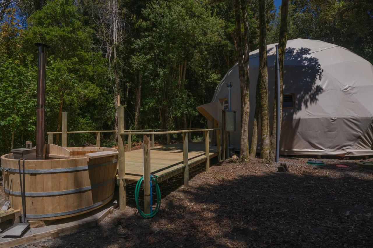 Cabanas Ensenada Bosque Nativo Exteriér fotografie
