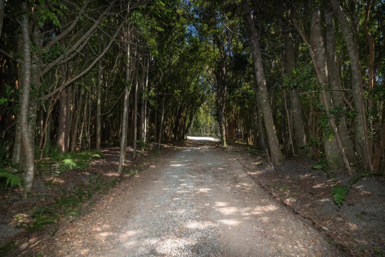 Cabanas Ensenada Bosque Nativo Exteriér fotografie