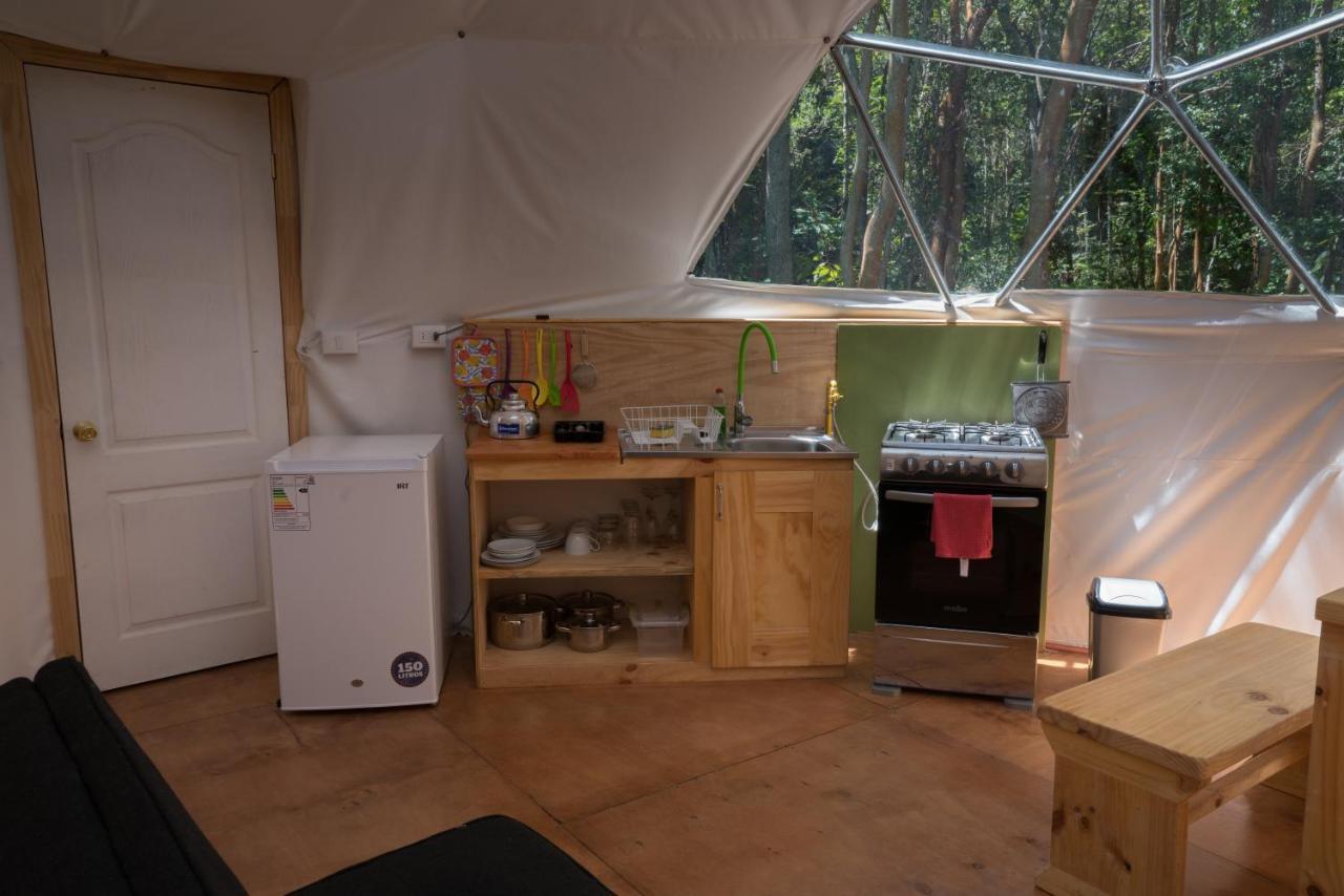 Cabanas Ensenada Bosque Nativo Exteriér fotografie