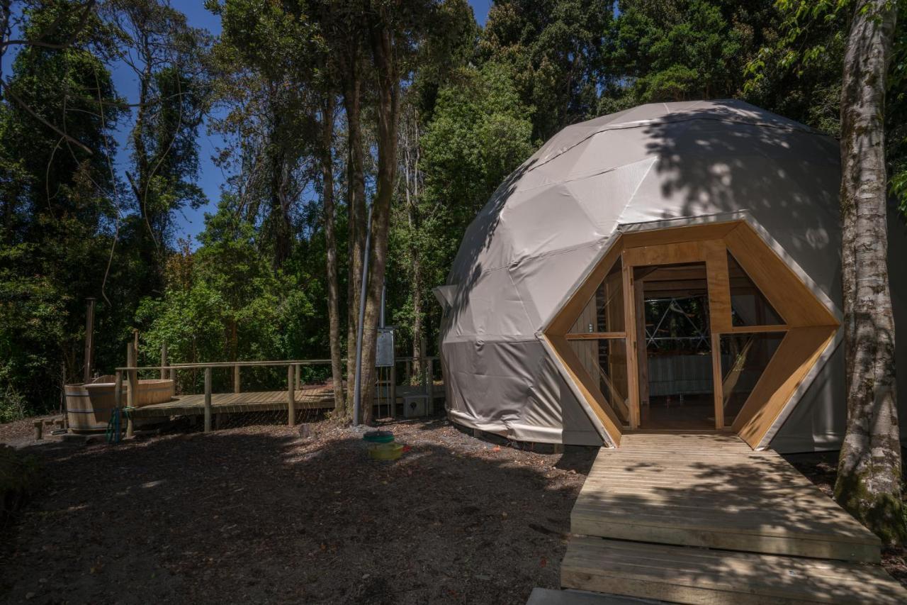 Cabanas Ensenada Bosque Nativo Exteriér fotografie
