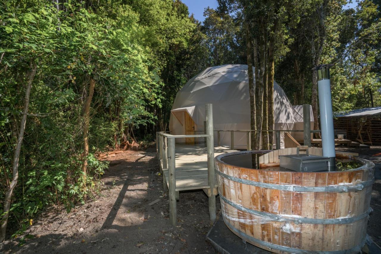 Cabanas Ensenada Bosque Nativo Exteriér fotografie