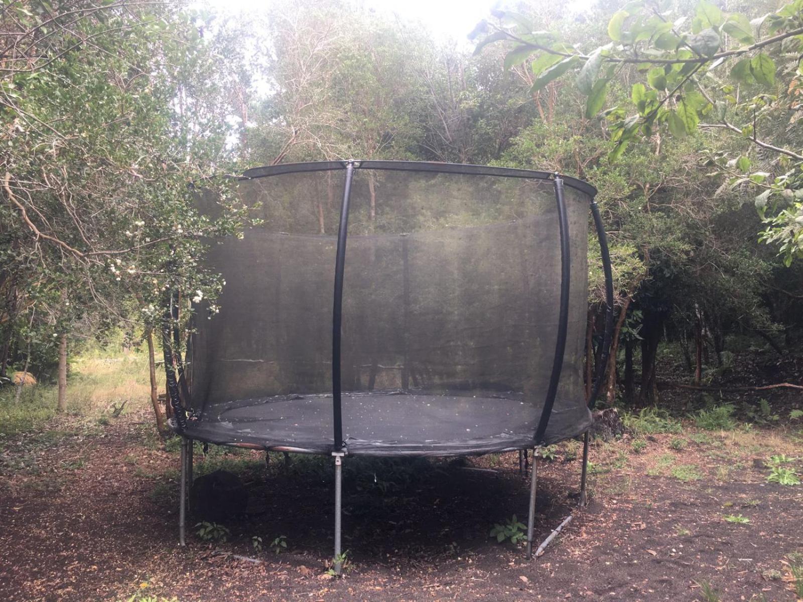 Cabanas Ensenada Bosque Nativo Exteriér fotografie