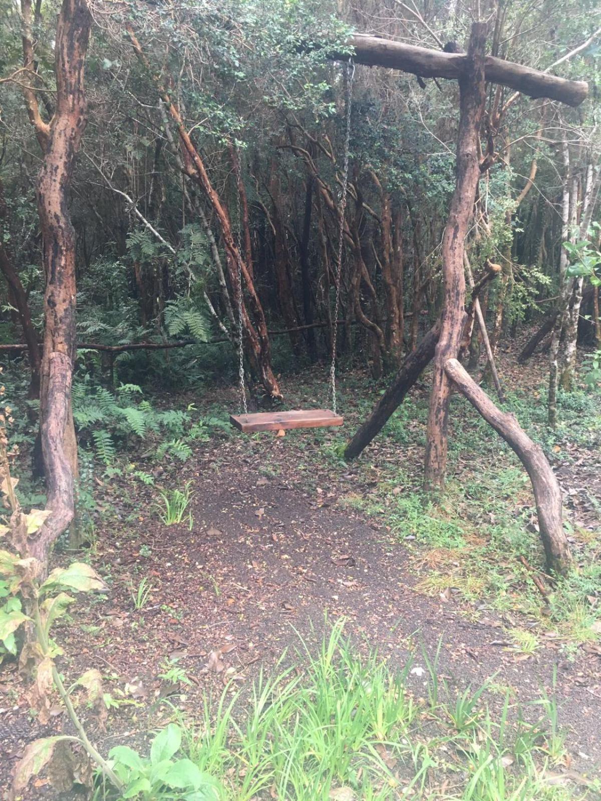 Cabanas Ensenada Bosque Nativo Exteriér fotografie
