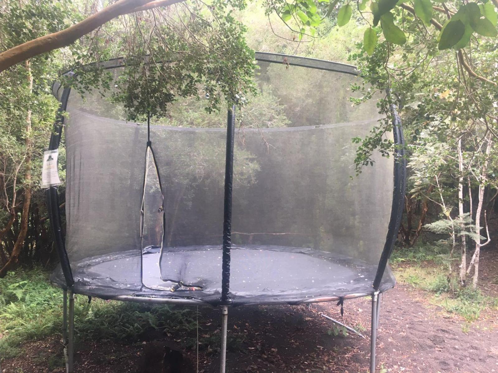 Cabanas Ensenada Bosque Nativo Exteriér fotografie