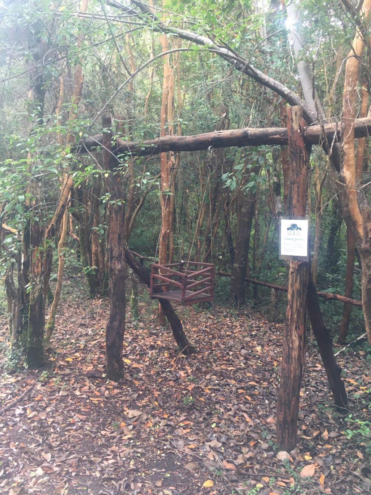 Cabanas Ensenada Bosque Nativo Exteriér fotografie