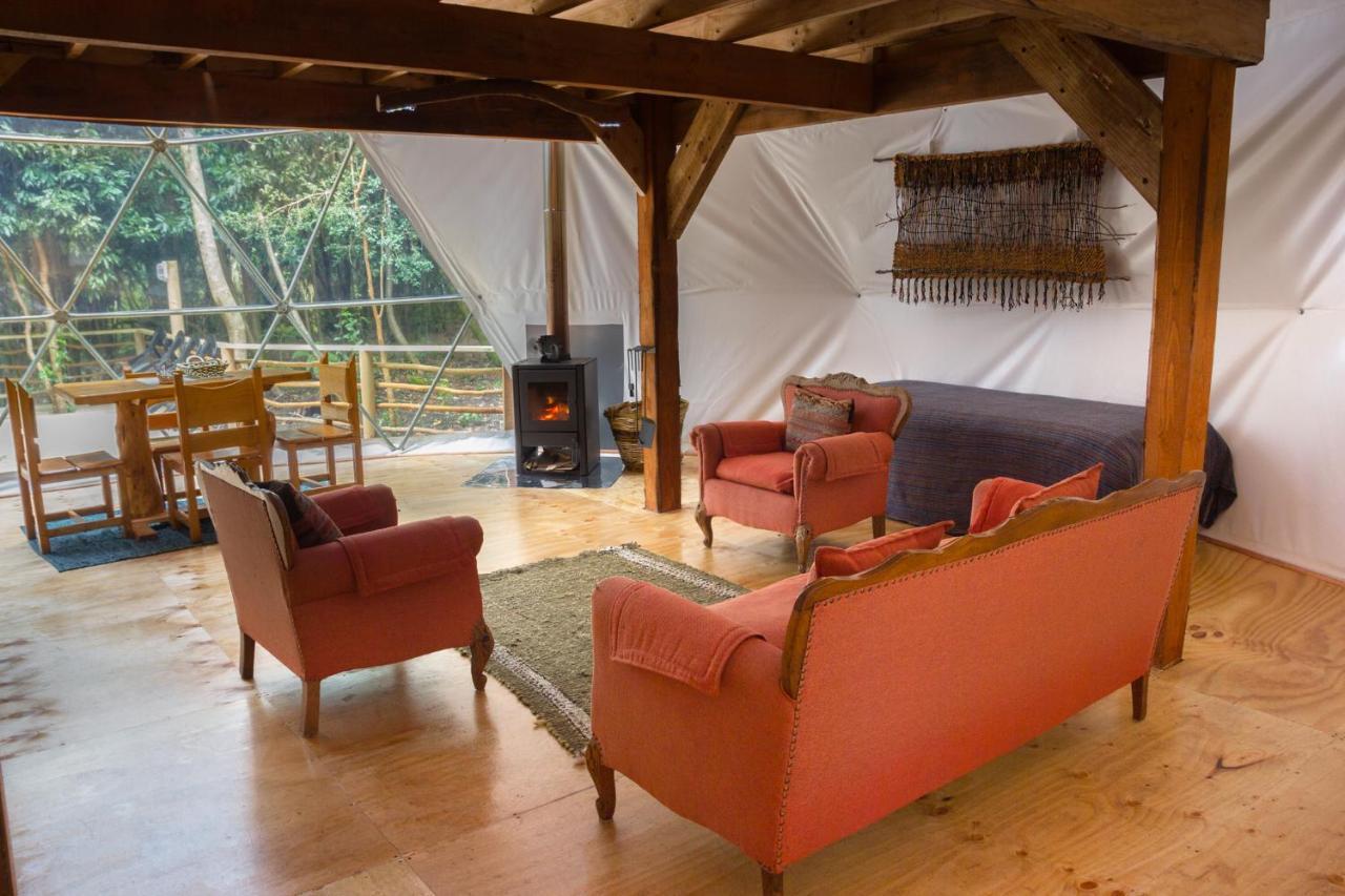 Cabanas Ensenada Bosque Nativo Exteriér fotografie