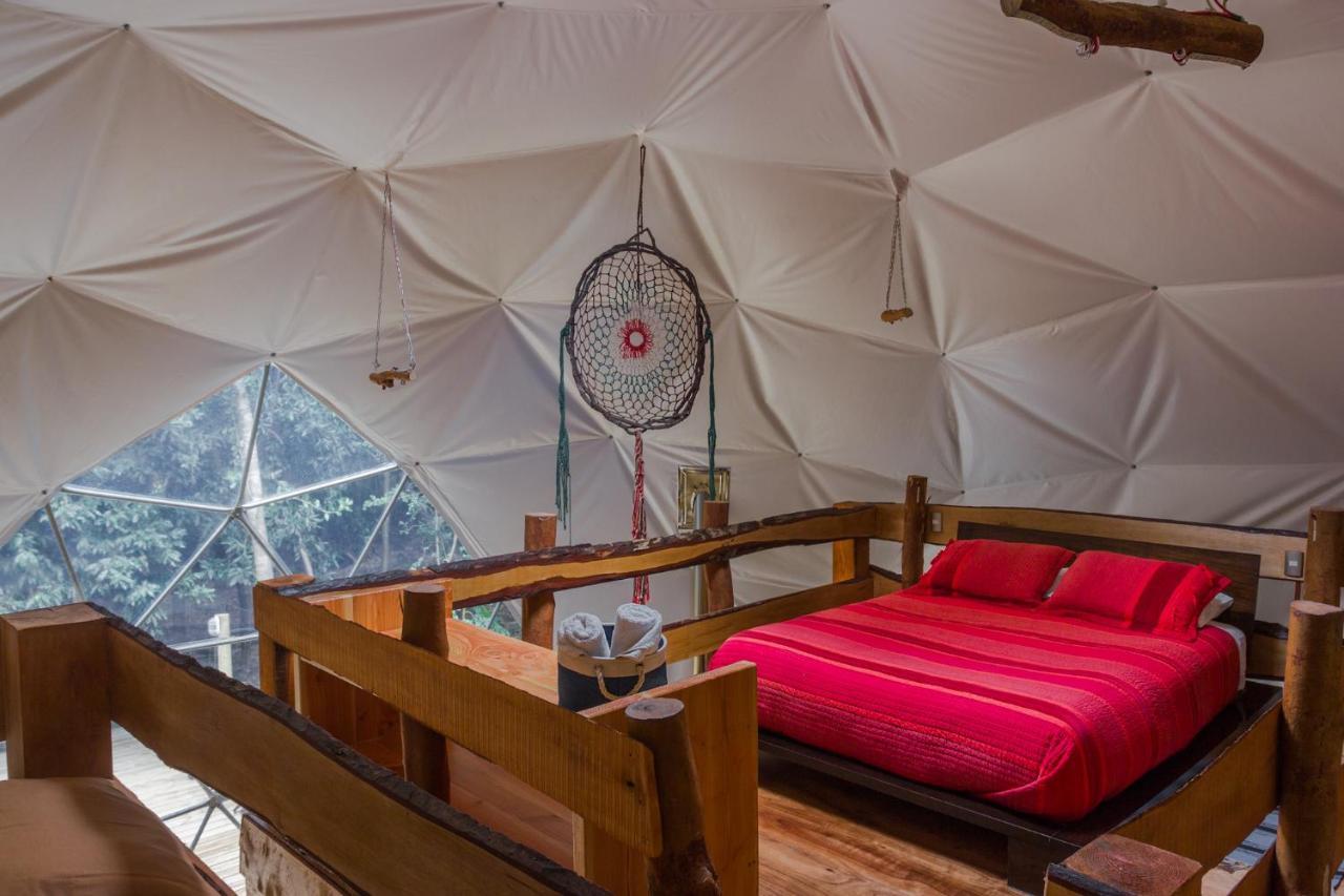 Cabanas Ensenada Bosque Nativo Exteriér fotografie