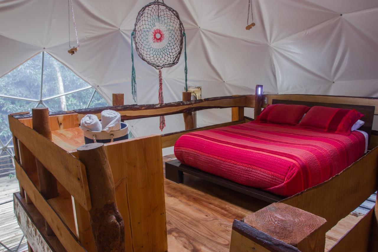 Cabanas Ensenada Bosque Nativo Exteriér fotografie