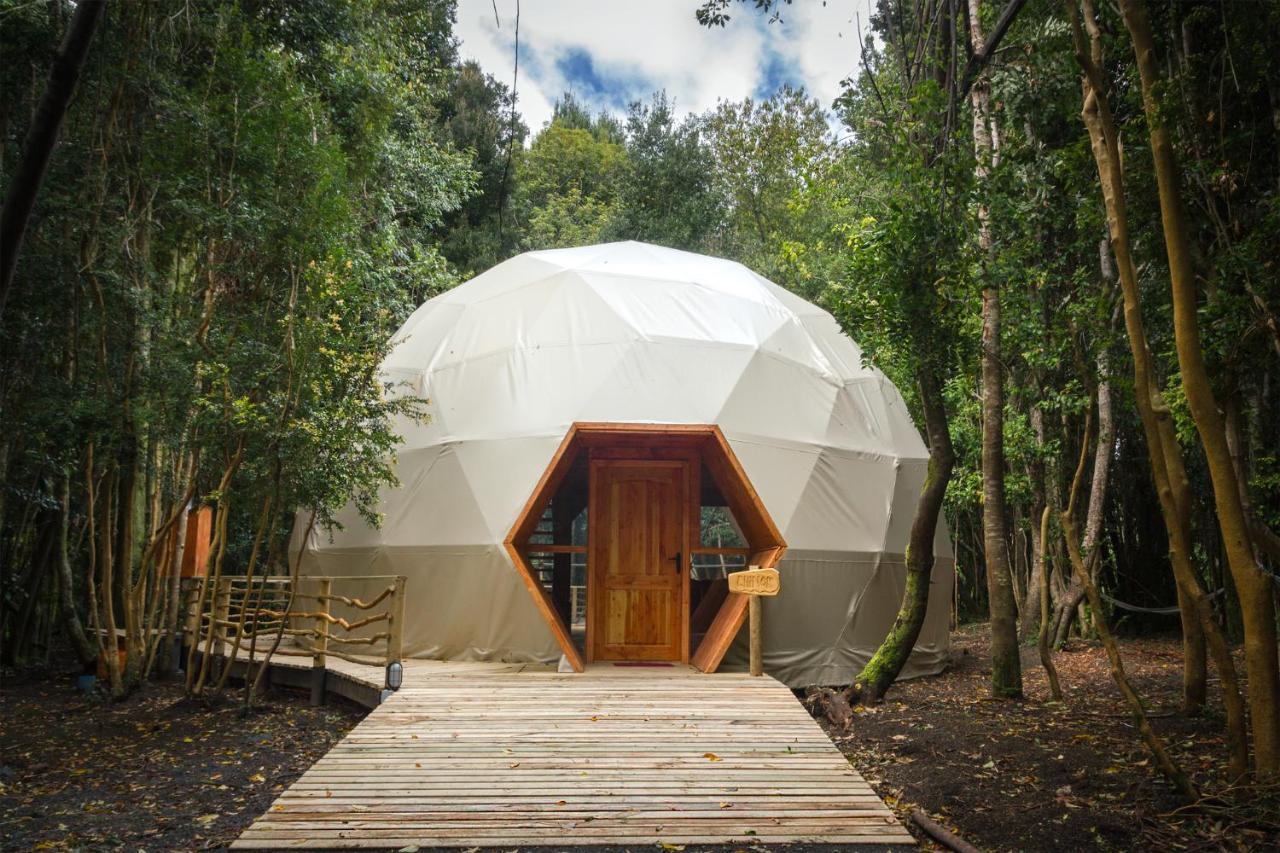 Cabanas Ensenada Bosque Nativo Exteriér fotografie