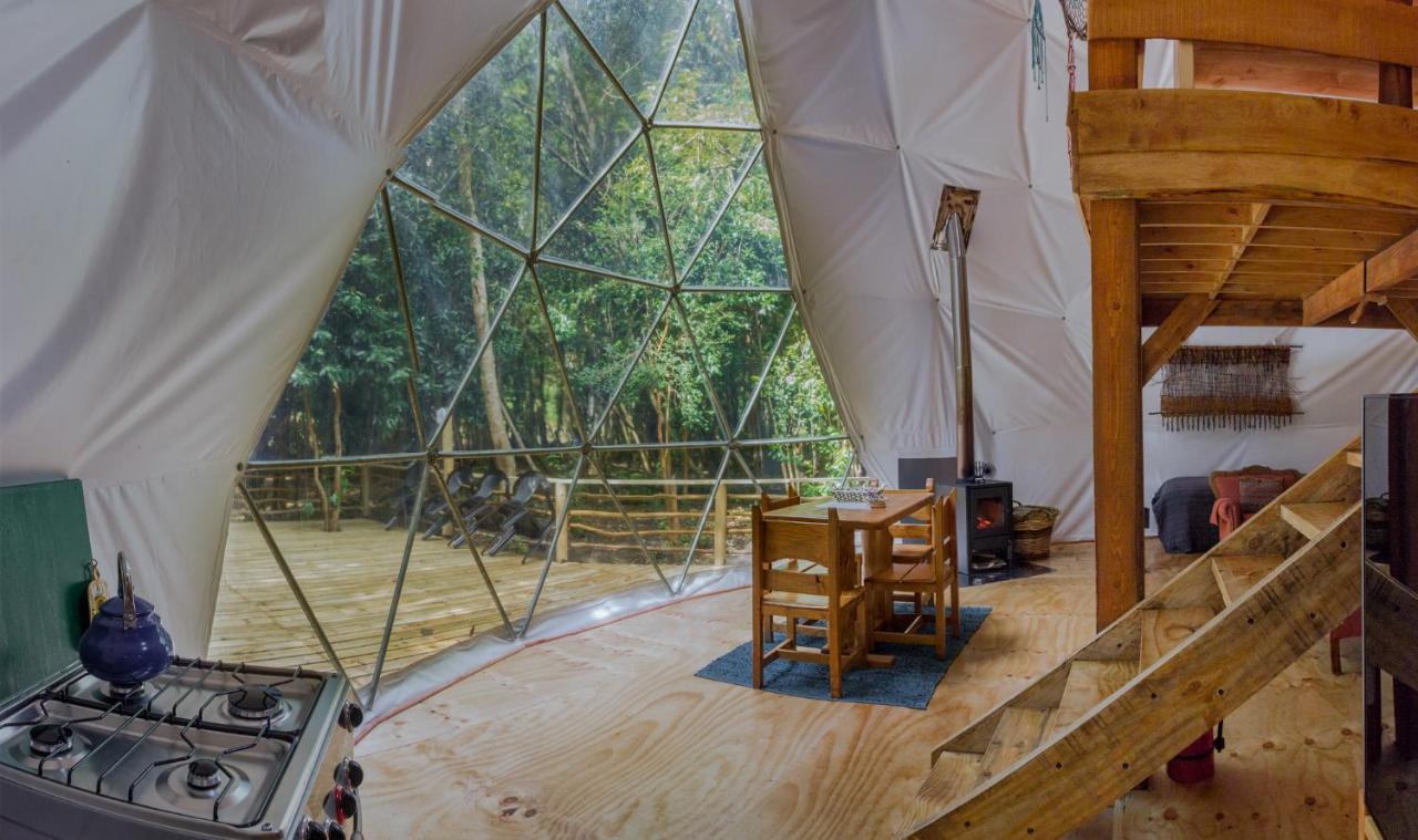 Cabanas Ensenada Bosque Nativo Exteriér fotografie