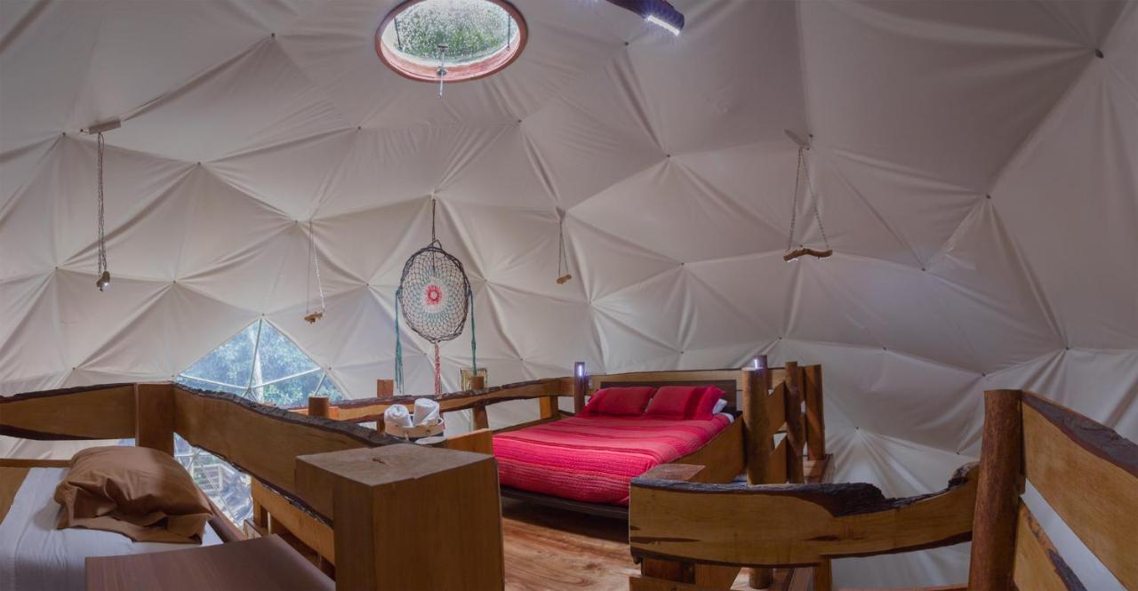 Cabanas Ensenada Bosque Nativo Exteriér fotografie