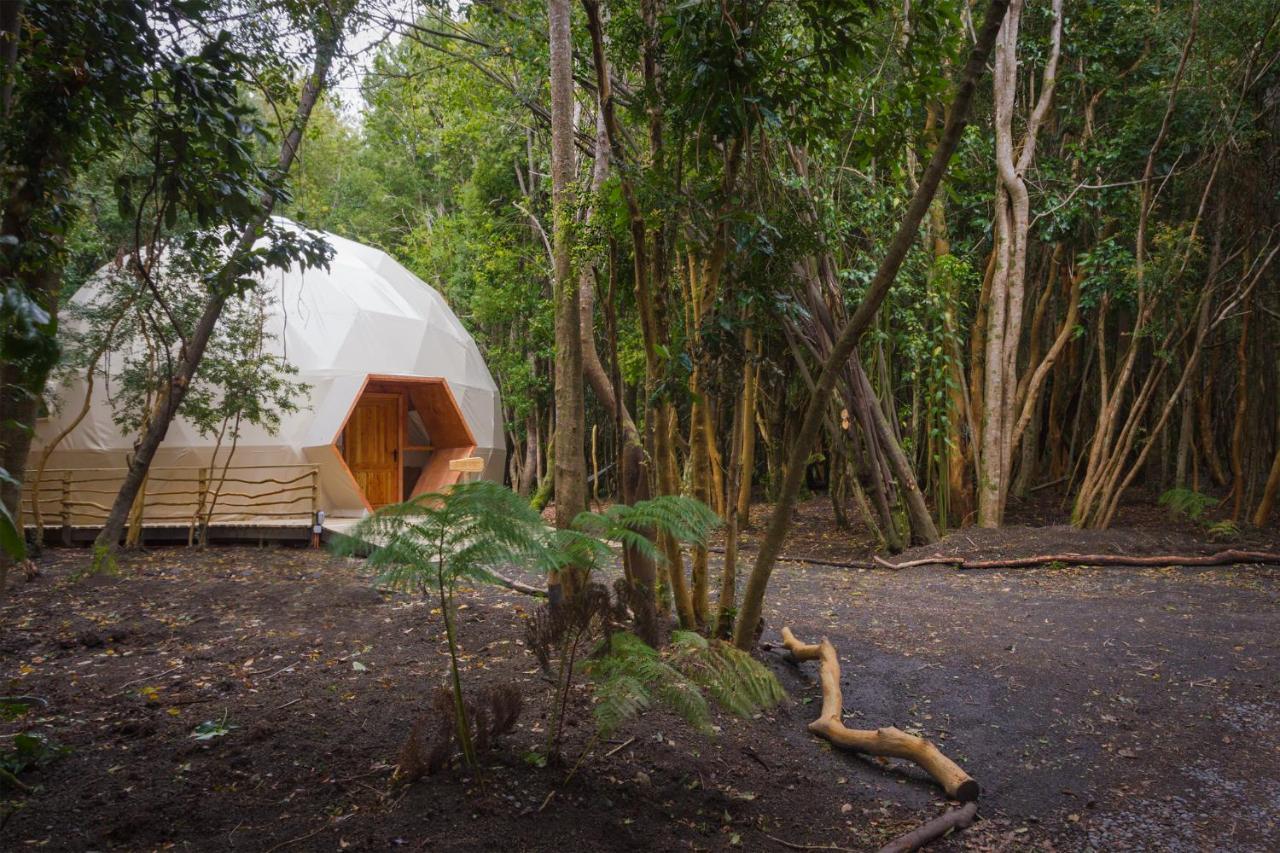 Cabanas Ensenada Bosque Nativo Exteriér fotografie