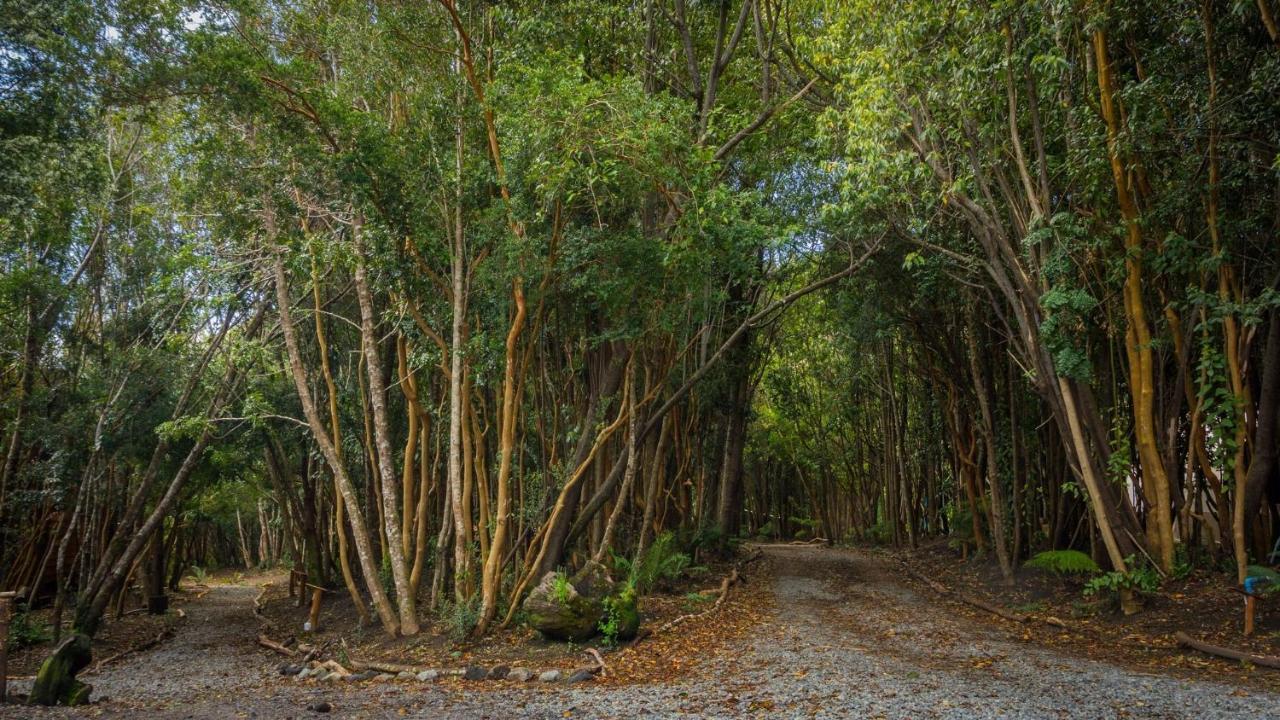 Cabanas Ensenada Bosque Nativo Exteriér fotografie