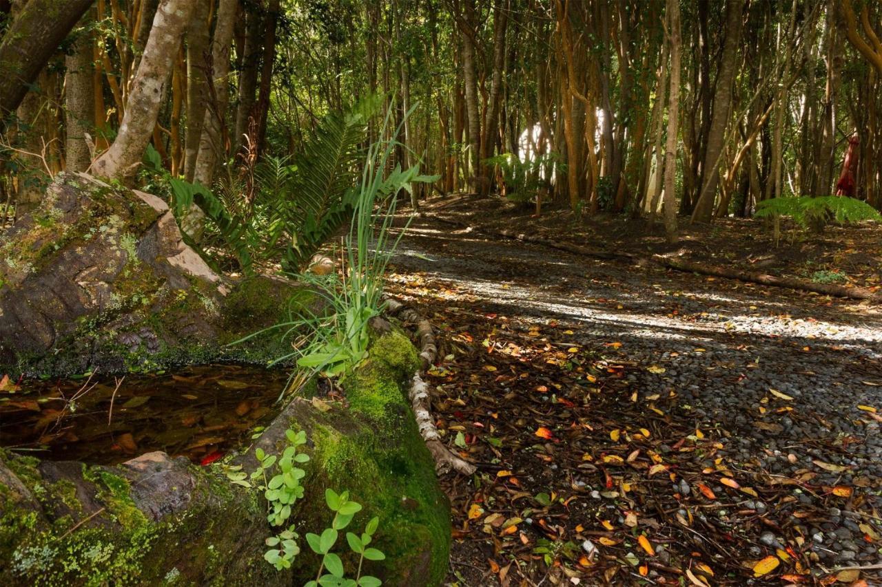 Cabanas Ensenada Bosque Nativo Exteriér fotografie